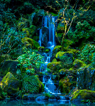 10061