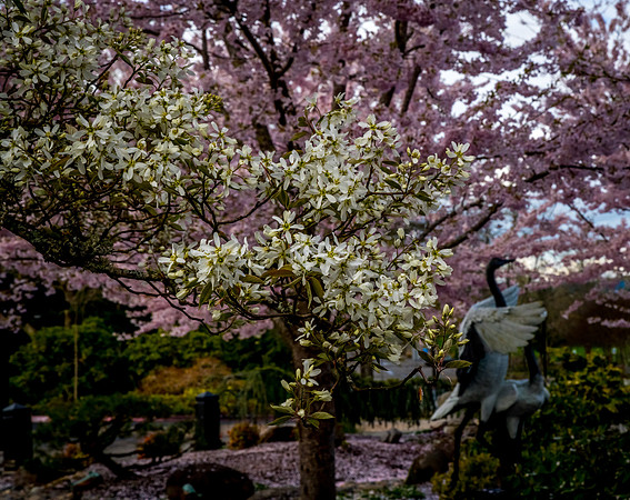 _8507345